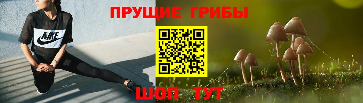 Галлюциногенные грибы Magic Shrooms Холмск